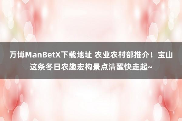 万博ManBetX下载地址 农业农村部推介！宝山这条冬日农趣宏构景点清醒快走起~