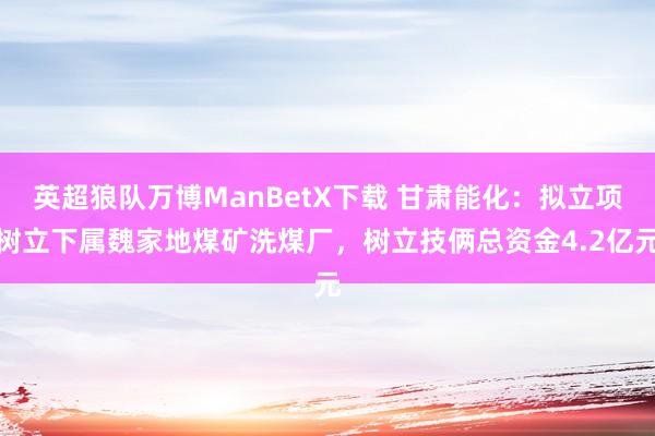 英超狼队万博ManBetX下载 甘肃能化：拟立项树立下属魏家地煤矿洗煤厂，树立技俩总资金4.2亿元