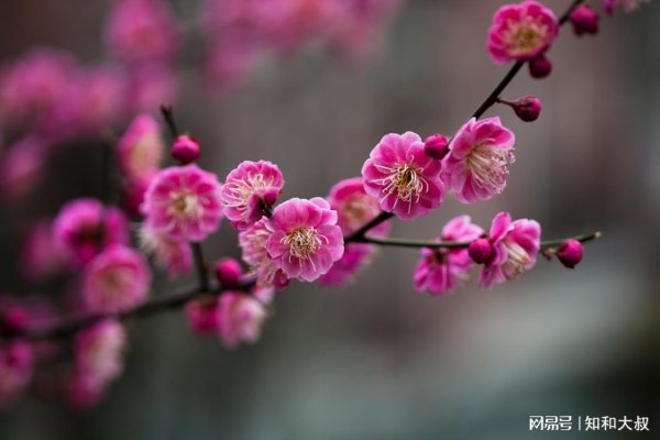 万博客户端app下载去杀青他（她）的东谈主生价值-万博max体育官网