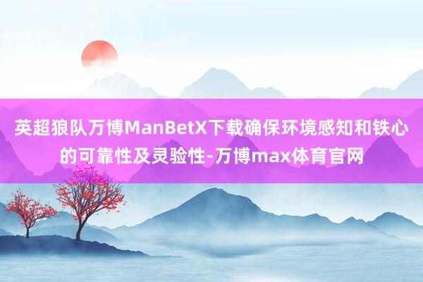 英超狼队万博ManBetX下载确保环境感知和铁心的可靠性及灵验性-万博max体育官网