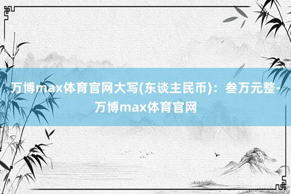 万博max体育官网大写(东谈主民币)：叁万元整-万博max体育官网