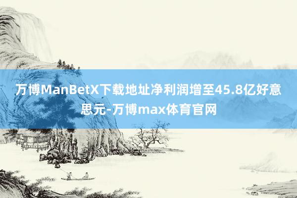 万博ManBetX下载地址净利润增至45.8亿好意思元-万博max体育官网