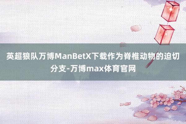 英超狼队万博ManBetX下载作为脊椎动物的迫切分支-万博max体育官网