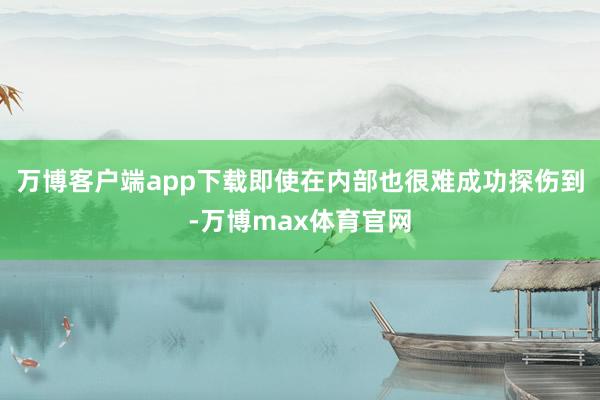 万博客户端app下载即使在内部也很难成功探伤到-万博max体育官网