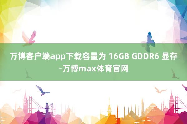 万博客户端app下载容量为 16GB GDDR6 显存-万博max体育官网