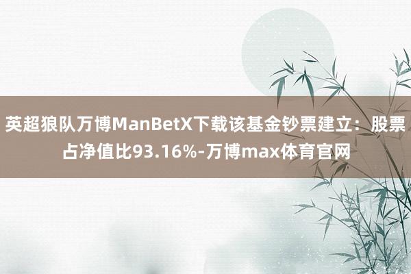 英超狼队万博ManBetX下载该基金钞票建立：股票占净值比93.16%-万博max体育官网