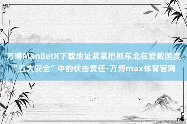 万博ManBetX下载地址紧紧把抓东北在爱戴国度“五大安全”中的伏击责任-万博max体育官网